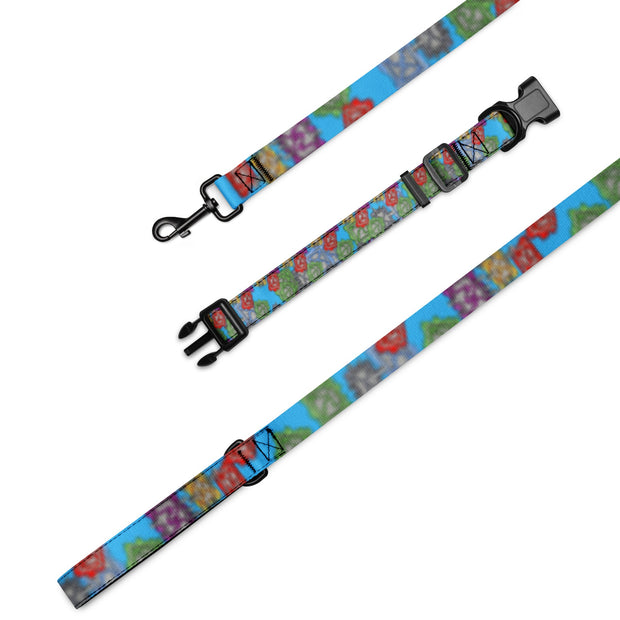 Binary Box Pet collar & leash - Flowstate Apparel