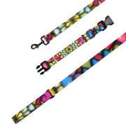 Mandala Collage II Pet collar & leash - Flowstate Apparel