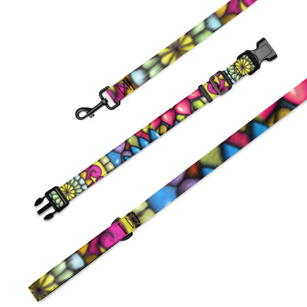 Mandala Collage II Pet collar & leash - Flowstate Apparel
