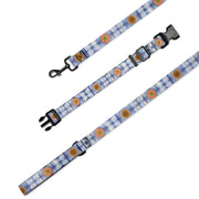 Stained Glass Mandalas Pet collar & leash - Flowstate Apparel