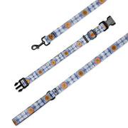 Stained Glass Mandalas Pet collar & leash - Flowstate Apparel