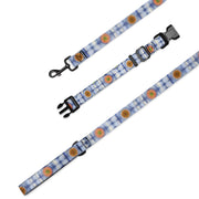 Stained Glass Mandalas Pet collar & leash - Flowstate Apparel