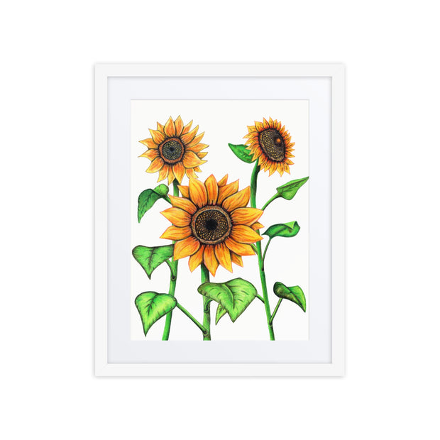 Sunflowers framed print with mat - Martin K Designs