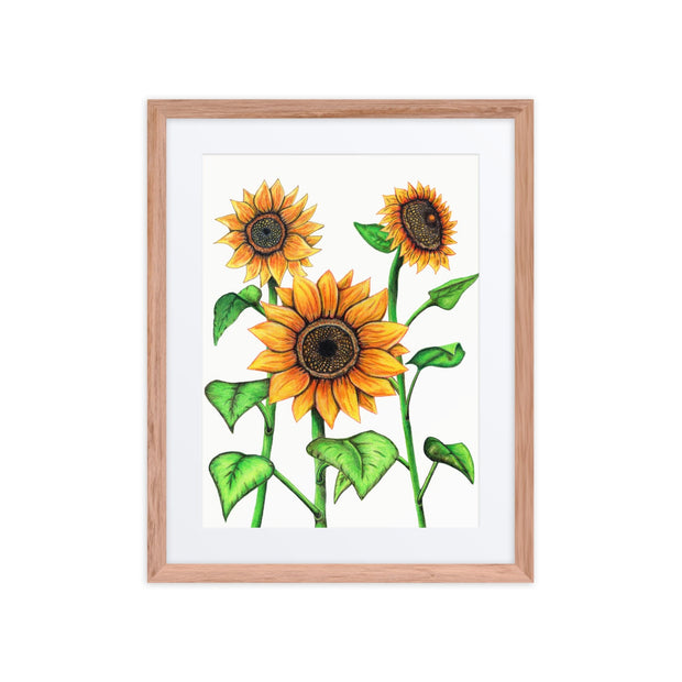 Sunflowers framed print with mat - Martin K Designs