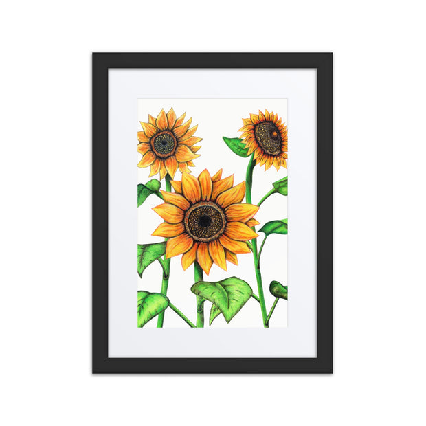 Sunflowers framed print with mat - Martin K Designs