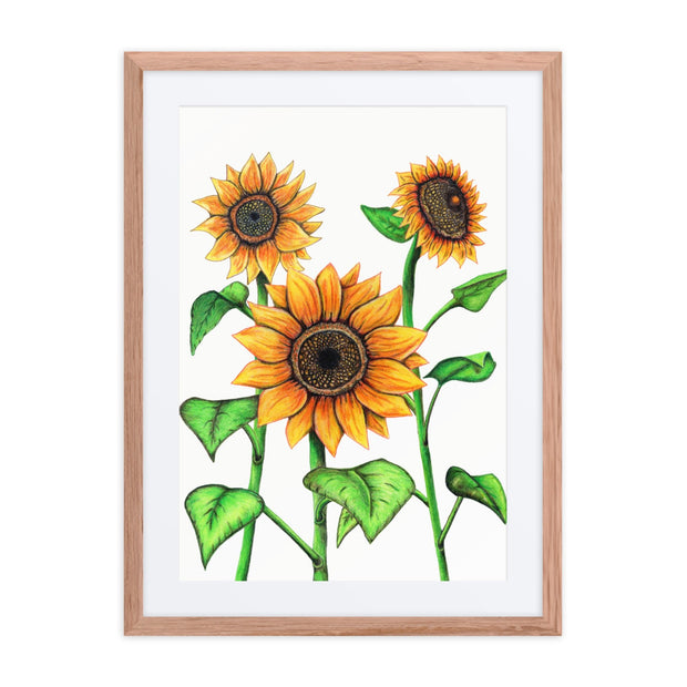 Sunflowers framed print with mat - Martin K Designs