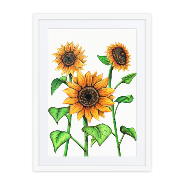 Sunflowers framed print with mat - Martin K Designs