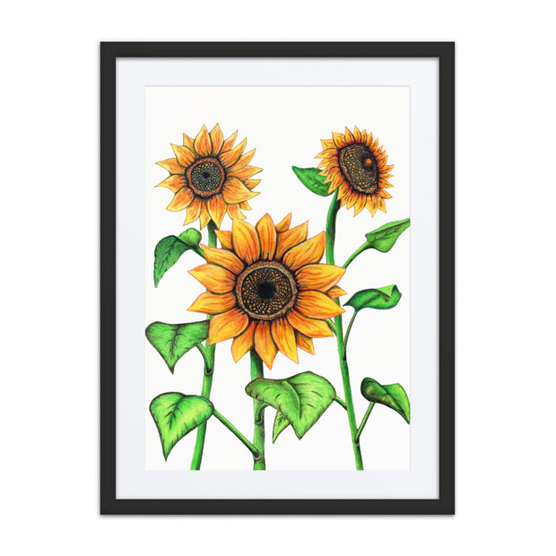 Sunflowers framed print with mat - Martin K Designs