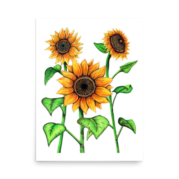 Sunflowers Print - Martin K Designs